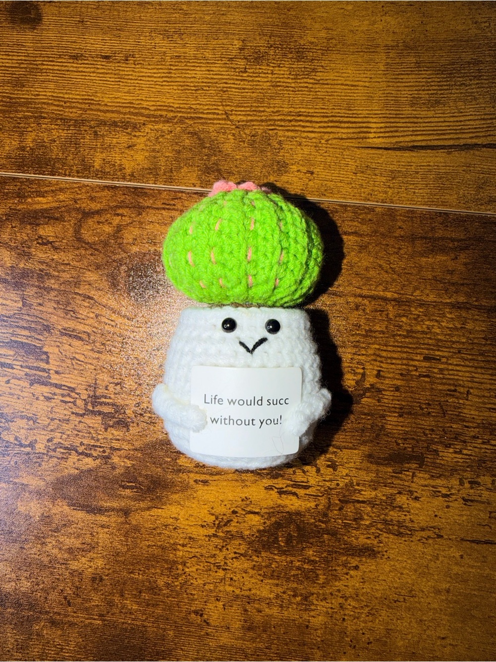 Positive Pals Handmade Crochet Succulent Plush